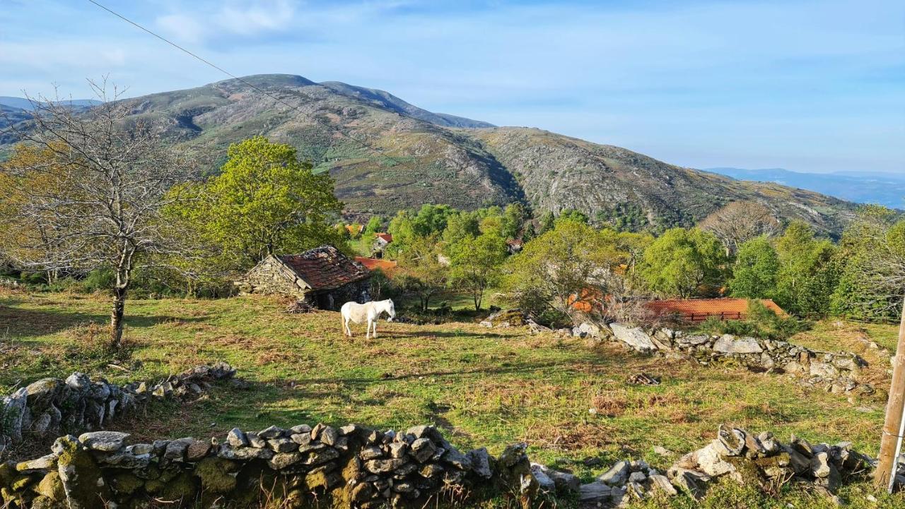 Branda de Santo António Cardenha Da Bessada 빌라 외부 사진
